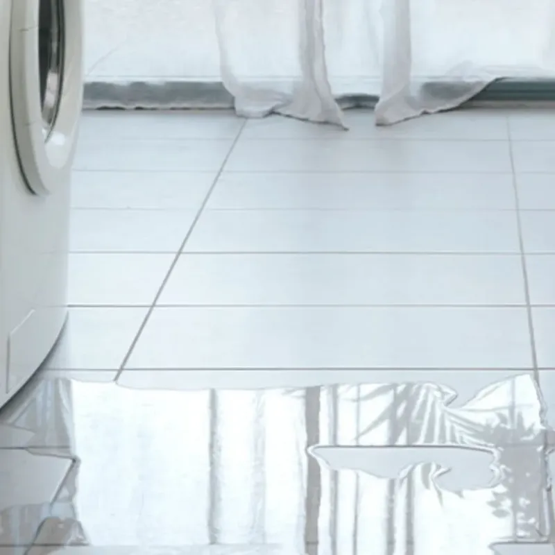 Appliance Leak Cleanup in Caseyville, IL