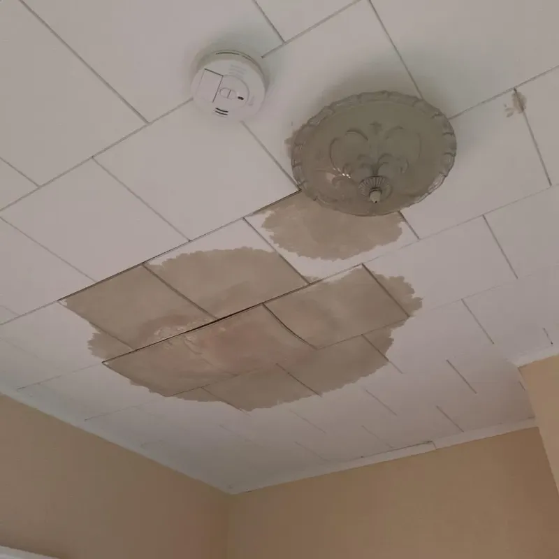 Ceiling Water Damage Repair in Caseyville, IL