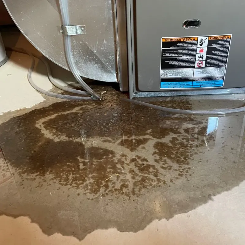 Pipe Burst and Leak Restoration in Caseyville, IL