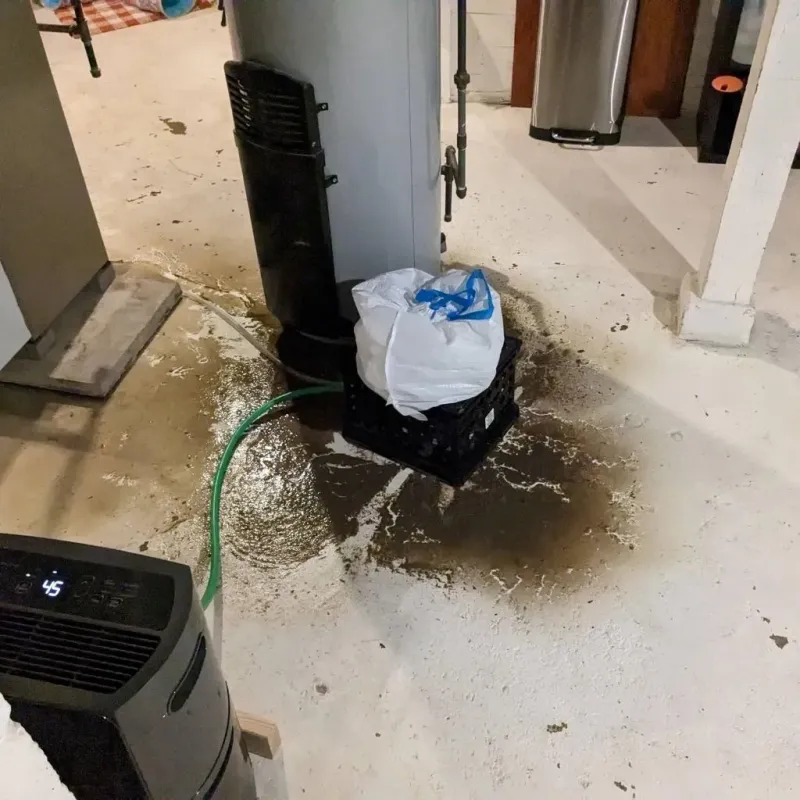 Sewage Backup Cleanup Service in Caseyville, IL